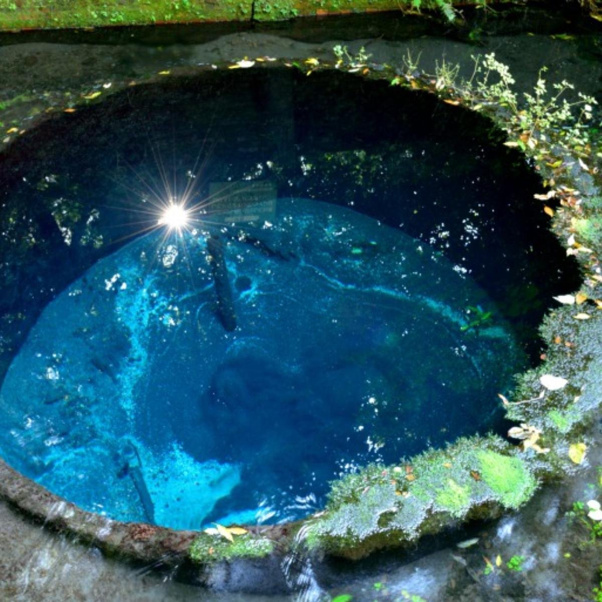 🏞️ 카키타가와 공원 이미지 6